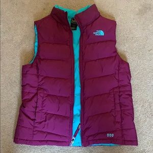 the north face vest